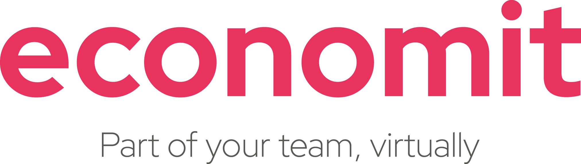 Economit Ltd logo